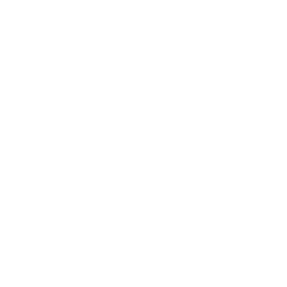 The Auxiliary