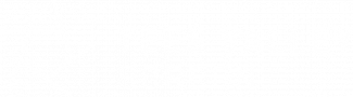 NFM Tees Valley Screen Logo